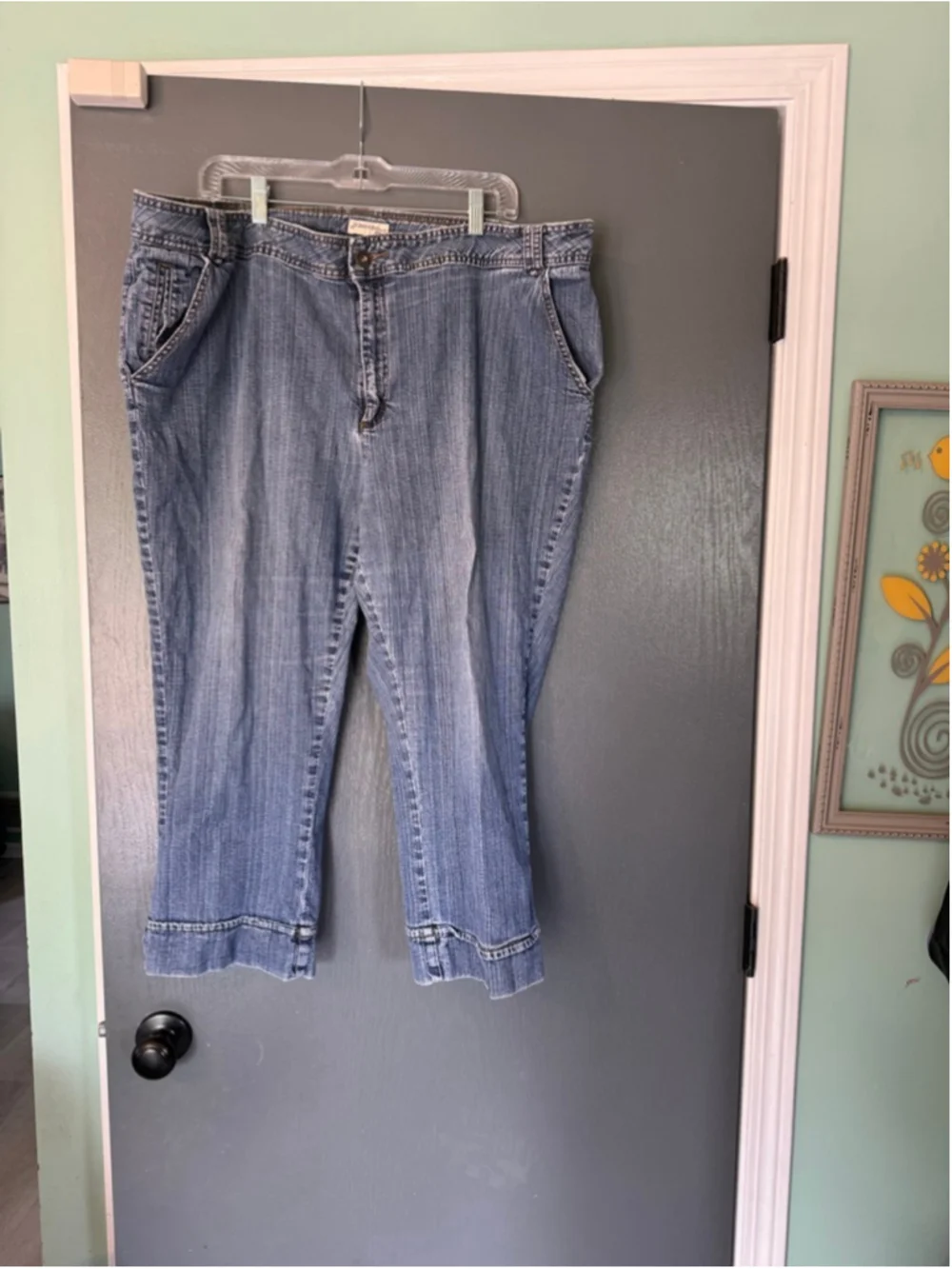 Women's St. John's Bay Plus Ankle & Cropped Jeans 24W Blue